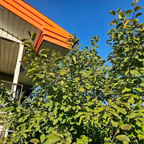 هنرستان حرفه ای سنایی