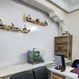 Drayt music and computer academy in tiran
