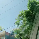 کارواش پارسیان