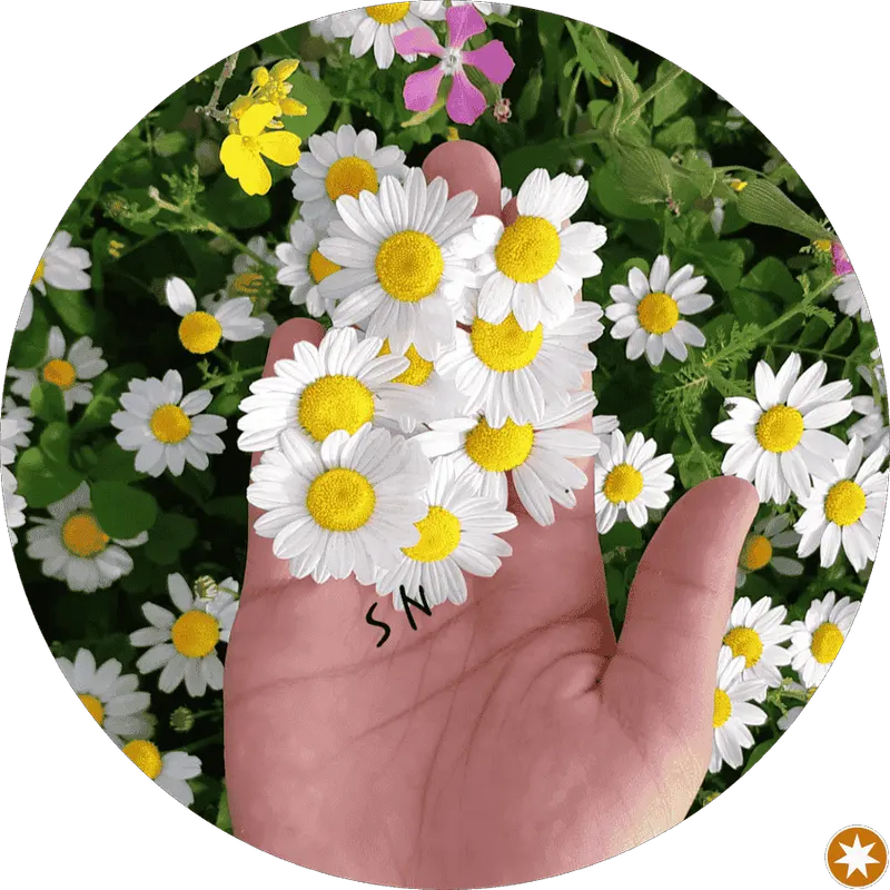 مهندسی مکانیک و برق خودرو مسلم فیروزی