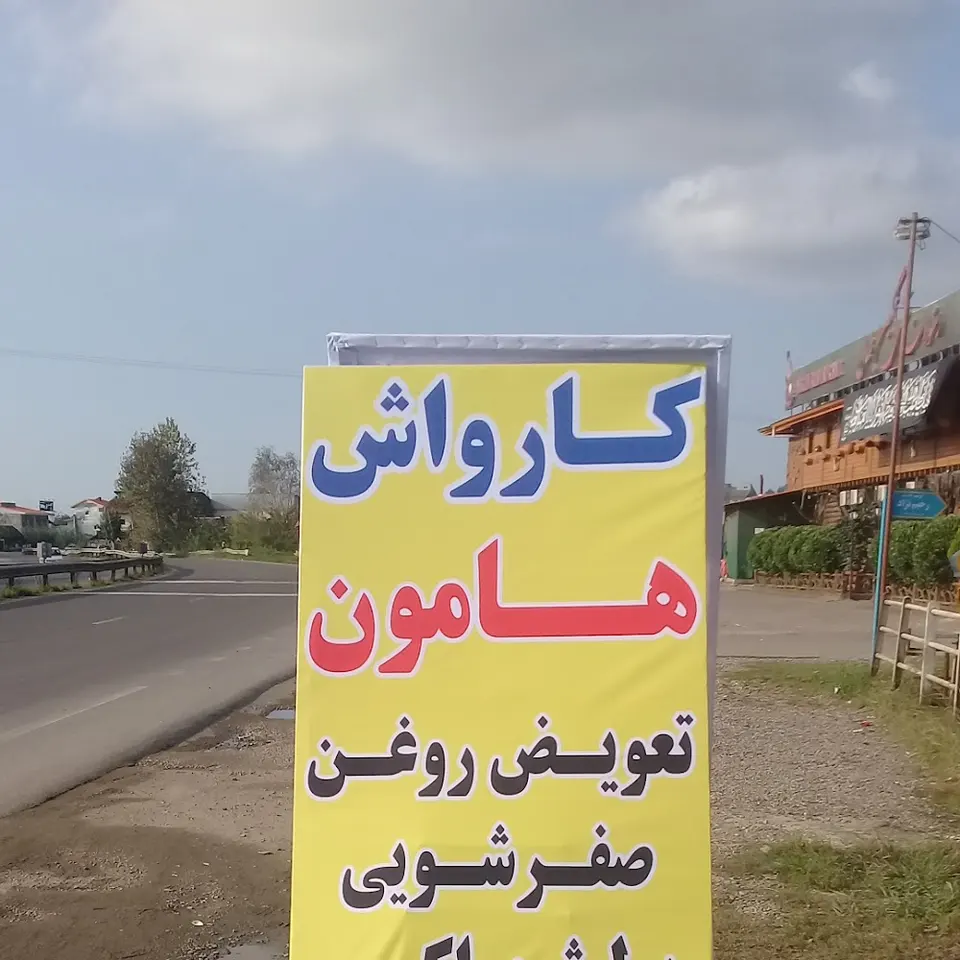 کارواش هامون