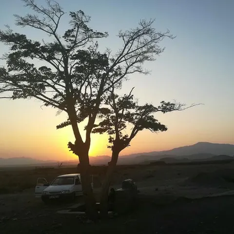 Senhvast