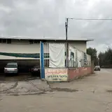 کارواش دایی باقر