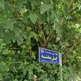 کارواش بزرگ طالب‌زاده