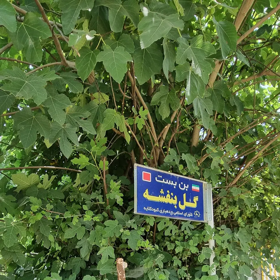 کارواش بزرگ طالب‌زاده