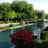 Ghadir Garden