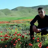 کارواش عدالت