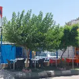 کارواش اتو کلین