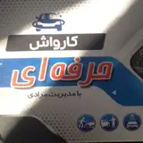 کارواش حرفه ای