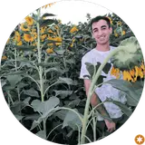کارواش مروارید