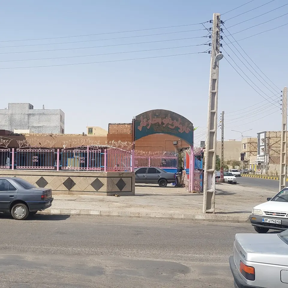 کارواش تاپ