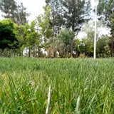 مرکز آموزش فنی و حرفه ای بردسکن