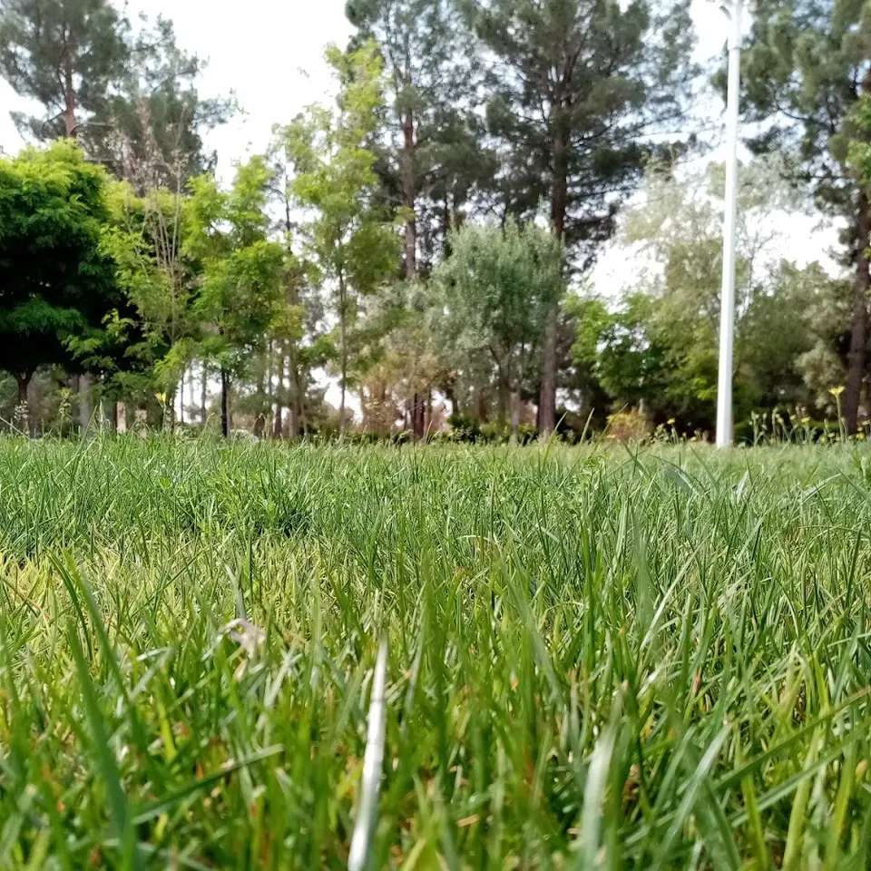 مرکز آموزش فنی و حرفه ای بردسکن