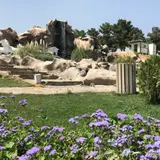 کارواش کارن