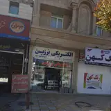 الکتریکی برزین