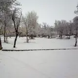 دانشکده فناوری های نوین
