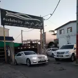 Celebritycarwash