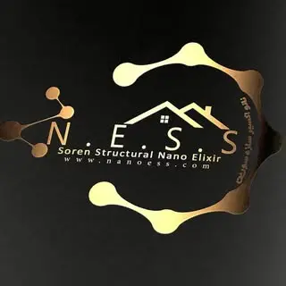 nanoess