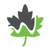 GreenWeb | گرین وب