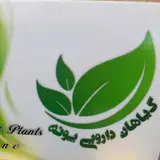 گياهان دارويي پونه