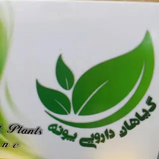 گياهان دارويي پونه