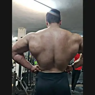 سهیل بسامی