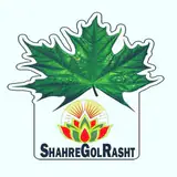 گل /گلدان/درختچه / گلدان فایبرگلاس /درختچه دکوراتیو