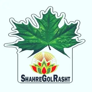 گل /گلدان/درختچه / گلدان فایبرگلاس /درختچه دکوراتیو