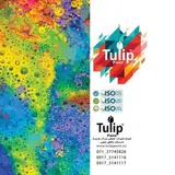 Tulip paint.ir