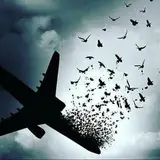يادبود عزيزان پرواز٧٥٢