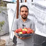 سنگ هنر