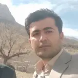 تقی ستاری فرد