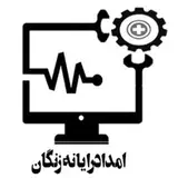 الوسیستم