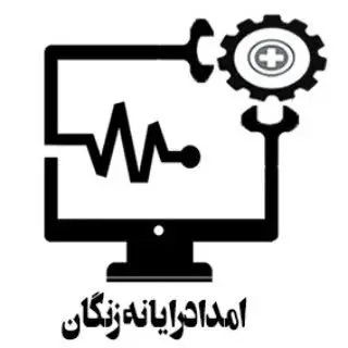 الوسیستم