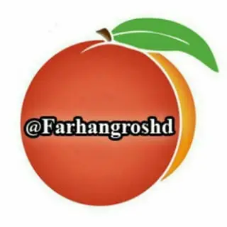 فرهنگ رشد آموزش حسابداری هلو