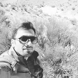 Reza Rashidi
