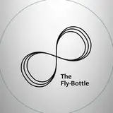 The Fly-Bottle