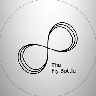 The Fly-Bottle