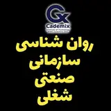 روانشناسی سازمانی صنعتی و شغلی