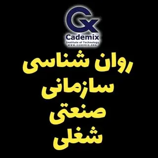 روانشناسی سازمانی صنعتی و شغلی