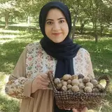 گردوچی | گردو آذربایجان