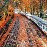 مهمان پذیر پارسیان (نریمانی)