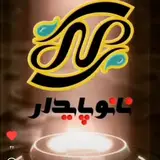 گروه تخصصی نانو پایدار