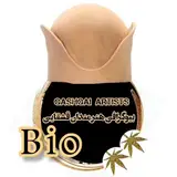 بیوگرافی هنرمندان قشقایی