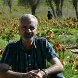 سید حمید حجازی