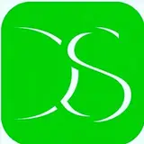 dsvs