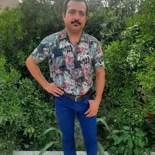 علیرضا قمری