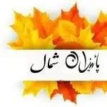 آموزشگاه کامپیوتروحسابداری پائیزان شمال