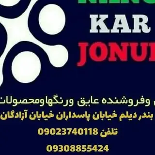 نانوکار جنوب