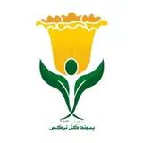 موسسه خیریه پیوند گل نرگس